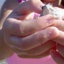 This American Summer: Finding Fun Close to Home Photo